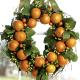 How To Make Citrus Wreath